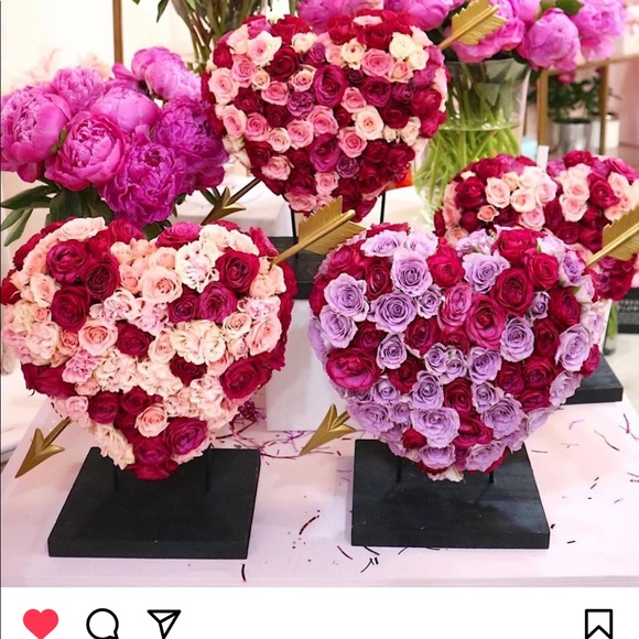 Meet your Posher, Elizabeth - Picture 1 of 1